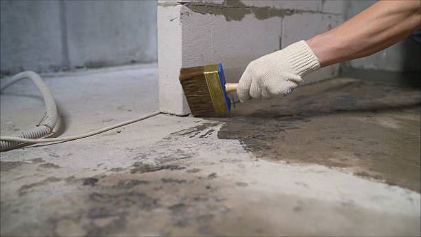 Top rated local Basement Waterproofing specialists in Kechi, KS
